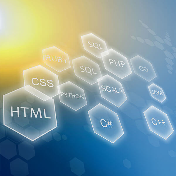 >Technologies We Support